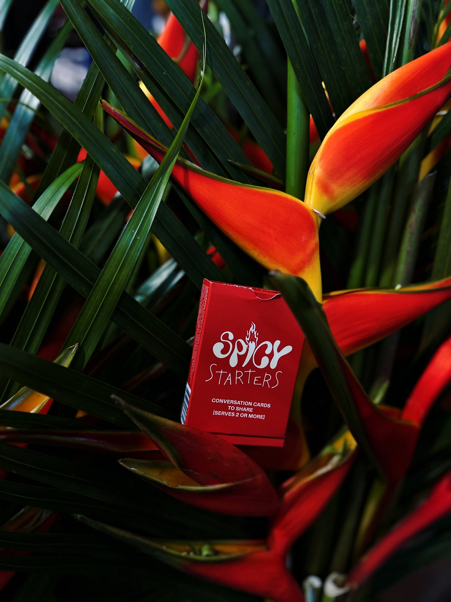 Spicy Starters© - Spice It Forward Gift