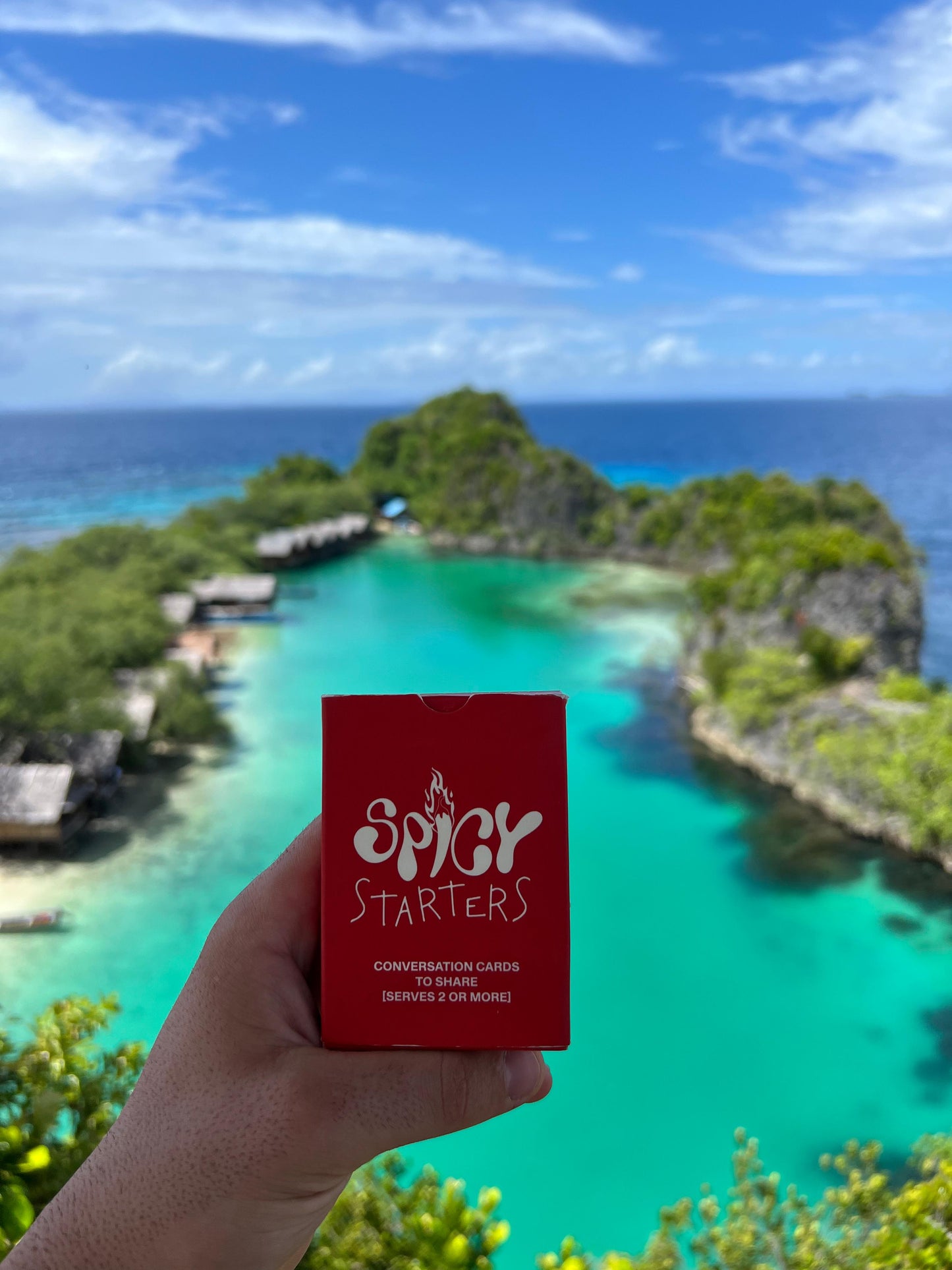 Spicy Starters© - Conversation Starters Cards Game